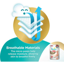 Load image into Gallery viewer, Pampers Premium Care Pants Diapers & Nappiess - Xl