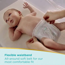 Load image into Gallery viewer, Pampers Premium Care Pants Diapers & Nappiess Medium 38 Count