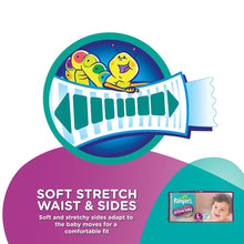Load image into Gallery viewer, Pampers Active Baby Diapers & Nappiess Large 50 Count