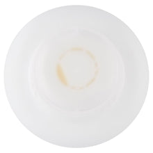 Load image into Gallery viewer, Chicco Disinfectant Liquid For Feeding Bottles And Teats 1 Liter