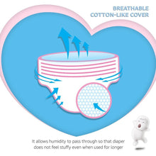 Load image into Gallery viewer, Mamypoko Mamy Poko Pants Large 46 Pieces - L