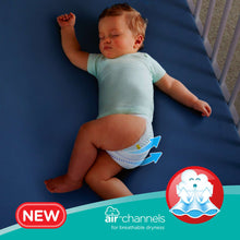 Load image into Gallery viewer, Pampers Baby-Dry Pants Diapers & Nappies - Xl