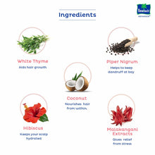 Load image into Gallery viewer, Parachute Advansed Ayurvedic Skincare Hot Oil 300Ml
